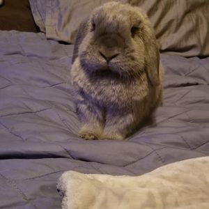 Meet your Posher, Wendy